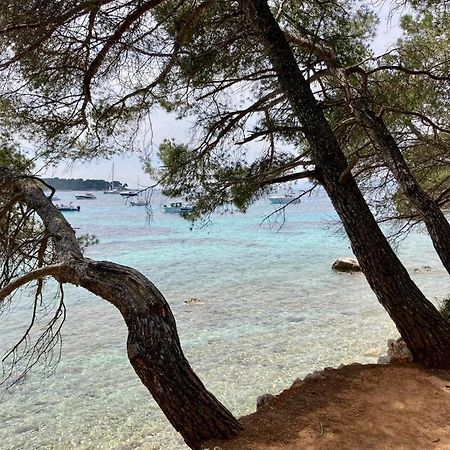 Appartement Centre Croisette Emplacement Exceptionnel Cannes Exterior foto