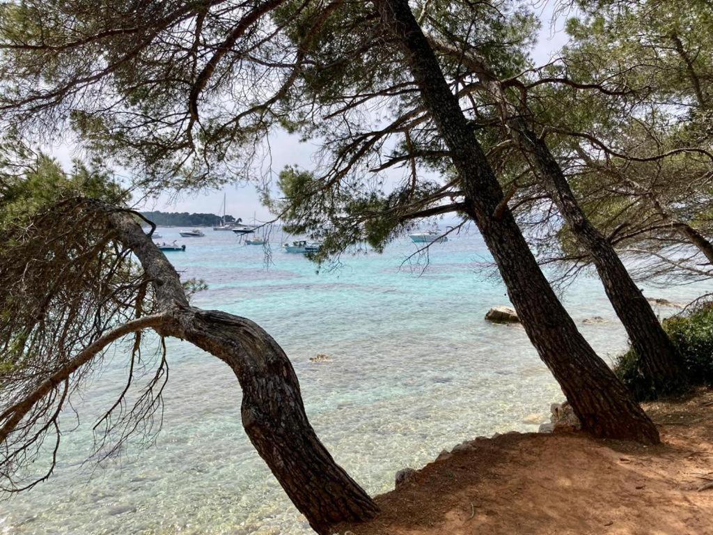 Appartement Centre Croisette Emplacement Exceptionnel Cannes Exterior foto