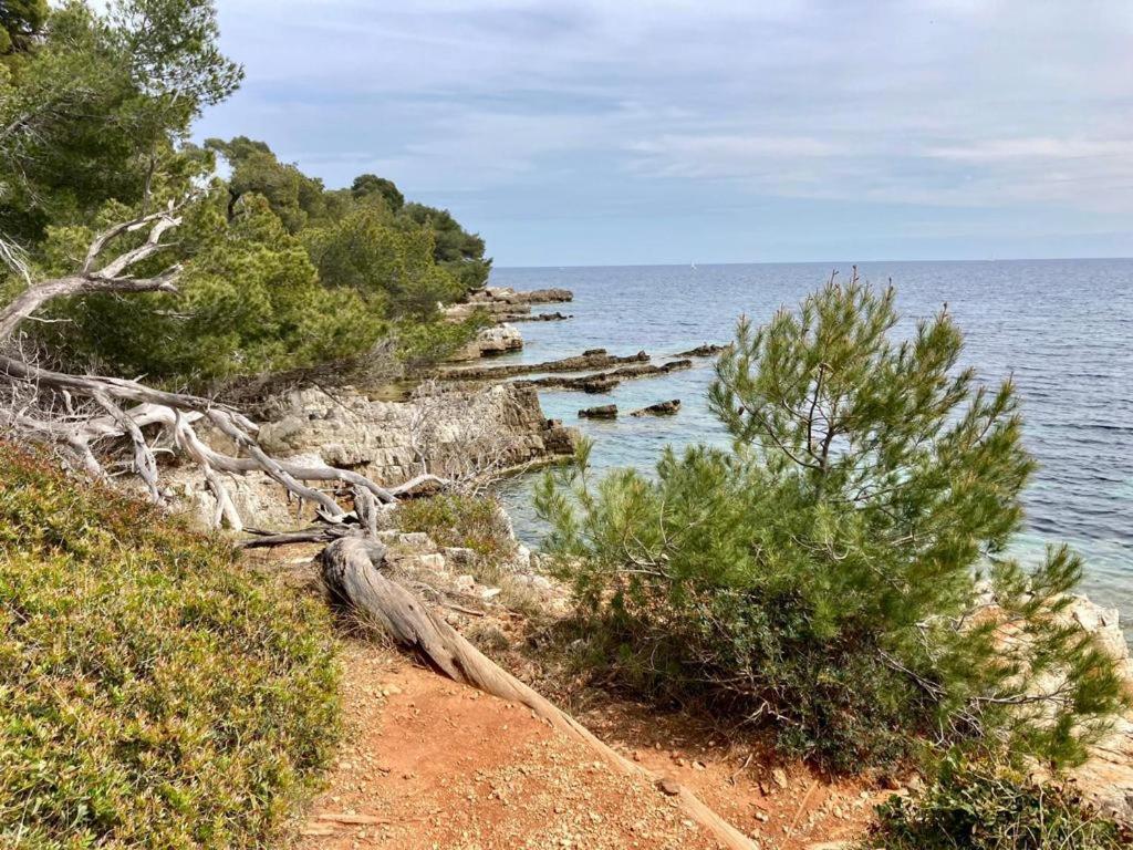 Appartement Centre Croisette Emplacement Exceptionnel Cannes Exterior foto