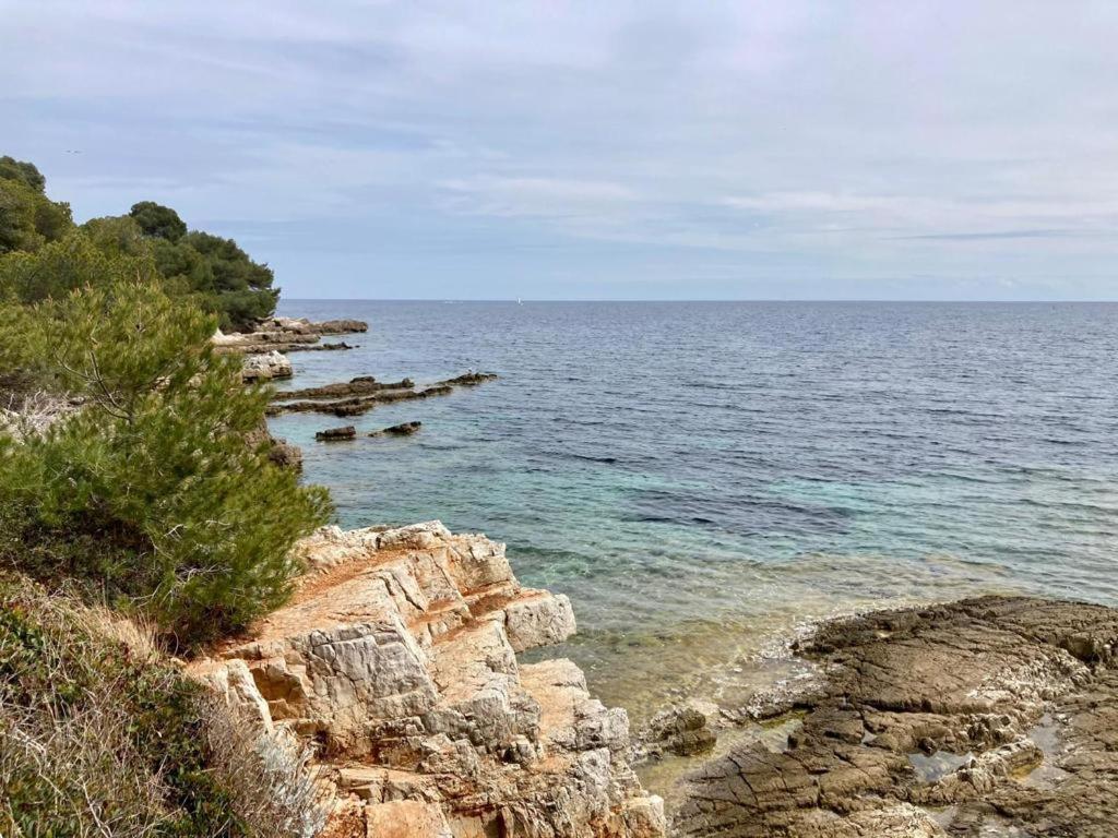 Appartement Centre Croisette Emplacement Exceptionnel Cannes Exterior foto